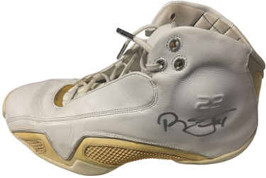 Richard Jefferson signed Nike Air Jordan XX7 Left Basketball Shoe  (Cavaliers- 2016 NBA Champs/Nets/Wildcats) COA