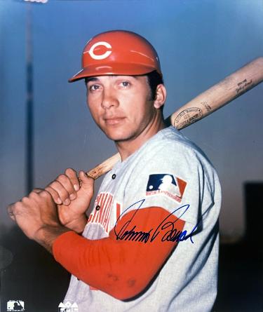 Johnny Bench signed Cincinnati Reds MLB Licensed 8x10 Photo- Tuff Stuff COA (HOF/2X WSC)