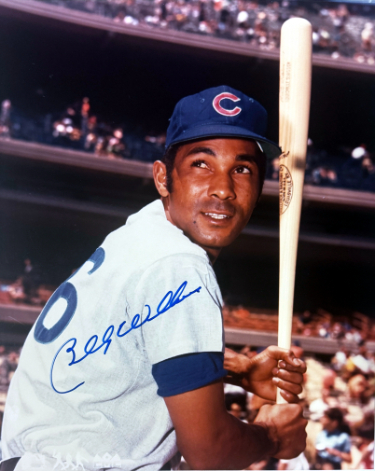 Billy Williams signed Chicago Cubs MLB Licensed 8x10 Photo minor dings- COA (HOF)