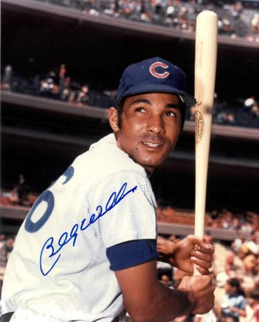 Billy Williams signed Chicago Cubs MLB Licensed 8x10 Photo Minor Dings - COA HOF