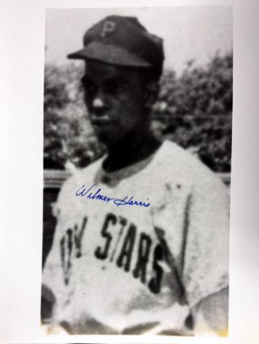 Wilmer Harris signed Philadelphia Stars Negro League 8x10 Photo imperfect- COA