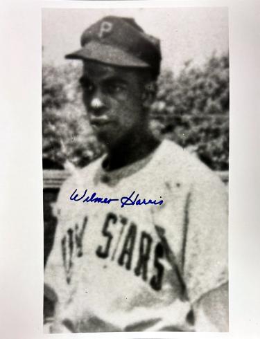Wilmer Harris signed Philadelphia Stars Negro League 8x10 Photo imperfect- COA