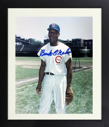 Buck O'Neil signed Chicago Cubs 8x10 Photo minor dings Custom Framing- COA/Show Ticket/Negro League/HOF