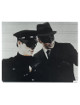 Van Williams & Bruce Lee unsigned The Green Hornet Vintage Color 8x10 Photo