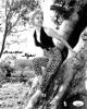 Martha Hyer signed Vintage B&W 8x10 Photo- JSA #II11026 (leopard pants)
