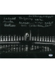 WWII Memorial D-Day Veterans, Fighter Aces, WASP Pilots, Pearl Harbor Survivors, Doolittle Raiders 13 sigs 11x14 Photo Ding PSA