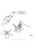 Povertyneck Hillbillies/Hillbilly Way 2006 Band Signed 4x6 Index Card 3-Signatures- JSA #JJ96615