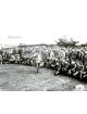 Roderick Bain signed WWII Band of Brothers Vintage B&W 8x10 Photo- JSA #AC92810- E Company 506 PIR- 101st ABD