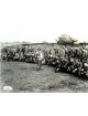 Philip P. Perugini signed WWII Band of Brothers Vintage 8x10 Photo- JSA #AC92760- 101st ABD Easy Co 506th PIR
