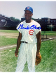 Buck O'Neil signed Chicago Cubs 8x10 Photo- Collector's Showcase LOA/Show Ticket
