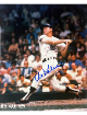 Al Kaline signed Detroit Tigers MLB Licensed 8x10 Photo- Tuff Stuff COA/Show Ticket (HOF)