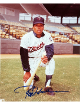 Rod Carew signed Minnesota Twins MLB Licensed 8x10 Photo- COA