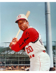 Frank Robinson signed Cincinnati Reds MLB Licensed 8x10 Photo- Tuff Stuff COA