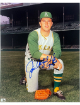 Jim "Catfish" Hunter signed Oakland A's MLB Licensed 8x10 Photo- Tuff Stuff Show COA