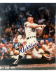 Al Kaline signed Detroit Tigers MLB Licensed 8x10 Photo- Tuff Stuff COA/Show Ticket
