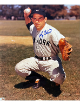 Yogi Berra signed New York Yankees MLB Licensed 8x10 Photo- Tuff Stuff COA (HOF/10X WS Champ)