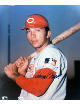 Johnny Bench signed Cincinnati Reds MLB Licensed 8x10 Photo- Tuff Stuff COA (HOF/2X WSC)