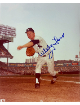 Whitey Ford signed New York Yankees MLB Licensed 8x10 Photo- Tuff Stuff Show COA (HOF/WS MVP/CY)