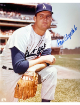 Don Drysdale signed Los Angeles Dodgers MLB Licensed 8x10 Photo imperfect- NFL Alumni LOA
