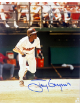 Tony Gwynn signed San Diego Padres MLB Licensed 8x10 Photo imperfect- COA (HOF)