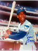 Ernie Banks signed Chicago Cubs MLB Licensed 8x10 Photo- COA (HOF)