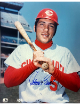 Johnny Bench signed Cincinnati Reds MLB Licensed 8x10 Photo- Tuff Stuff COA (HOF/Big Red Machine)