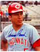Johnny Bench signed Cincinnati Reds MLB Licensed 8x10 Photo- Tuff Stuff COA (HOF/Big Red Machine)