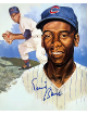 Ernie Banks signed Chicago Cubs 8x10 Collage Photo- COA (HOF/Mr. Cub/14X All Star)