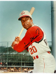 Frank Robinson signed Cincinnati Reds MLB Licensed 8x10 Photo imperfect- COA (HOF/Triple Crown)