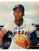 Fergie Jenkins signed Chicago Cubs MLB Licensed 8x10 Photo- COA (HOF)