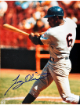 Tony Oliva signed Minnesota Twins MLB 8x10 Photo- Sports World Collectibles #A47605/COA (HOF/ROY/GG)
