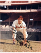 Brooks Robinson signed Baltimore Orioles MLB Licensed 8x10 Photo- CSA COA/Show Ticket