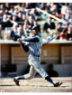 Billy Williams signed Chicago Cubs MLB Licensed 8x10 Photo- COA (HOF)