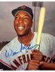 Willie McCovey signed San Francisco Giants MLB Licensed 8x10 Photo- COA (HOF)