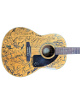 Epiphone/Gibson Multi signed Acoustic Guitar 45 Sigs-Beckett BB King/Garth Brooks/Axel Rose/Les Paul/Willie Nelson/Buddy Guy