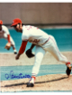 Steve Carlton signed St. Louis Cardinals MLB Licensed 8x10 Photo- Tuff Stuff COA (HOF)