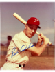 Richie Ashburn signed Philadelphia Phillies MLB Licensed 8x10 Photo- Tuff Stuff LOA (HOF)