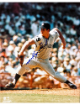 Mickey Lolich signed Detroit Tigers MLB Licensed 8x10 Photo- COA