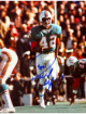 Paul Warfield signed Miami Dolphins NFL Licensed 8x10 Photo #42 minor dings- Tuff Stuff COA (HOF)