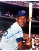 Billy Williams signed Chicago Cubs MLB Licensed 8x10 Photo minor dings- COA (HOF)