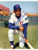 Billy Williams signed Chicago Cubs MLB Licensed 8x10 Photo minor dings- COA (HOF)