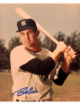 Bob Cerv signed New York Yankees 8x10 Photo- COA (WS Champ)