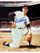 Ralph Terry signed New York Yankees MLB Licensed 8x10 Photo- Collector's Showcase COA/Show Ticket (62 WS MVP)