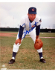 Ron Santo signed Chicago Cubs MLB Licensed 8x10 Photo minor dings- Tuff Stuff COA (HOF/9X All Star)