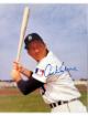 Al Kaline signed Detroit Tigers MLB Licensed 8x10 Photo- NFL Alumni LOA (HOF)