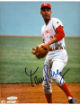 Tony Perez signed Cincinnati Reds MLB Licensed 8x10 Photo- Sports World Collectibles #A32694/COA (HOF)