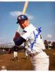Ron Santo signed Chicago Cubs MLB Licensed 8x10 Photo minor dings- Tuff Stuff COA (HOF/9X All Star)