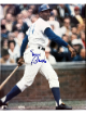 Ernie Banks signed Chicago Cubs MLB Licensed 8x10 Photo minor dings- COA (HOF)