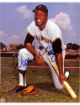 Willie McCovey signed San Francisco Giants MLB 8x10 Photo minor dings- COA (HOF)