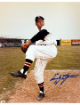 Early Wynn signed Chicago White Sox MLB Licensed 8x10 Photo minor dings COA (HOF/CY/9XAS)